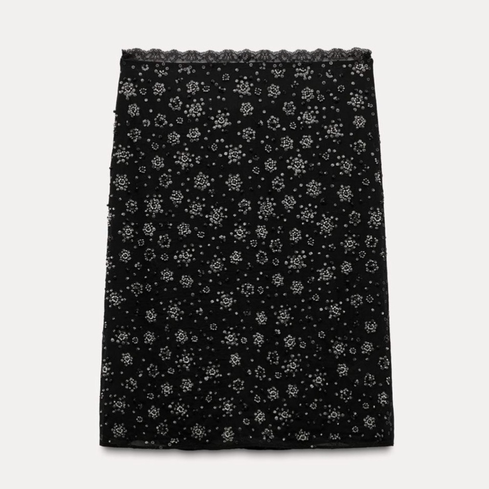 Zara embroided beaded skirt